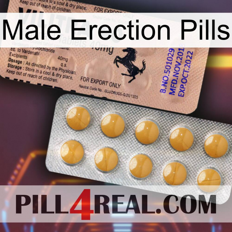 Male Erection Pills 41